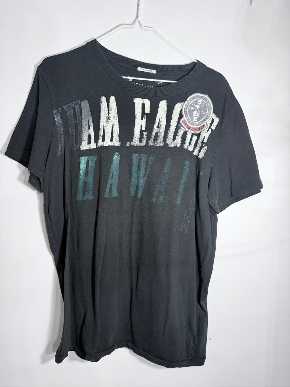 American Eagle Outfitters Men’s Black Graphic Tee with Teal Hawaii Print
